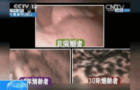281_180gif 动态图 动图