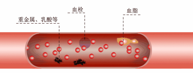 记载,数不胜数,对疾病治疗灵芝有着独特解血毒功效,可以清除血液毒素